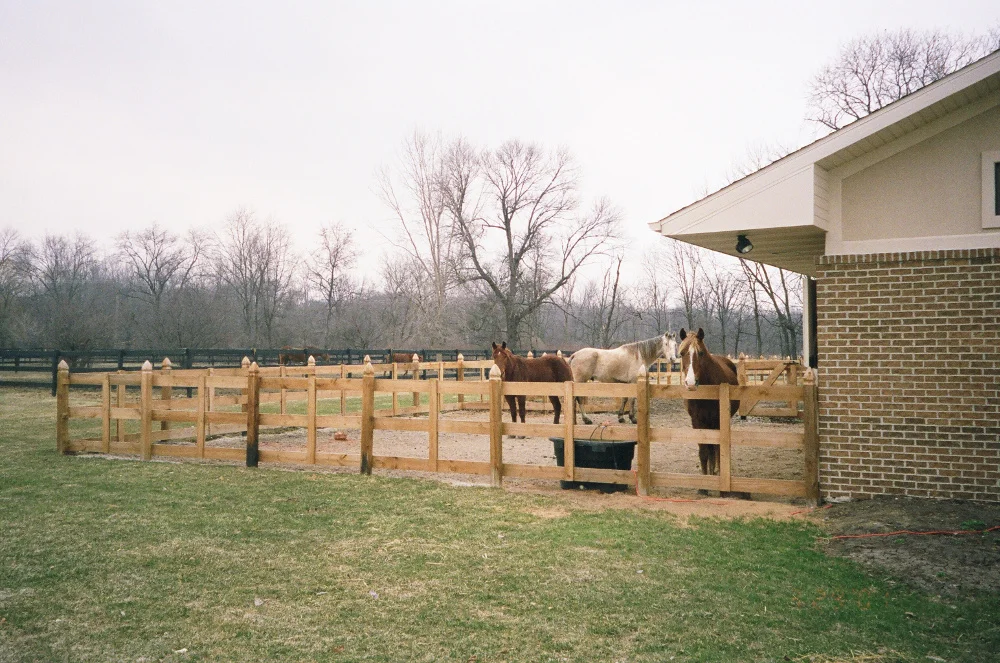 Horse Fences