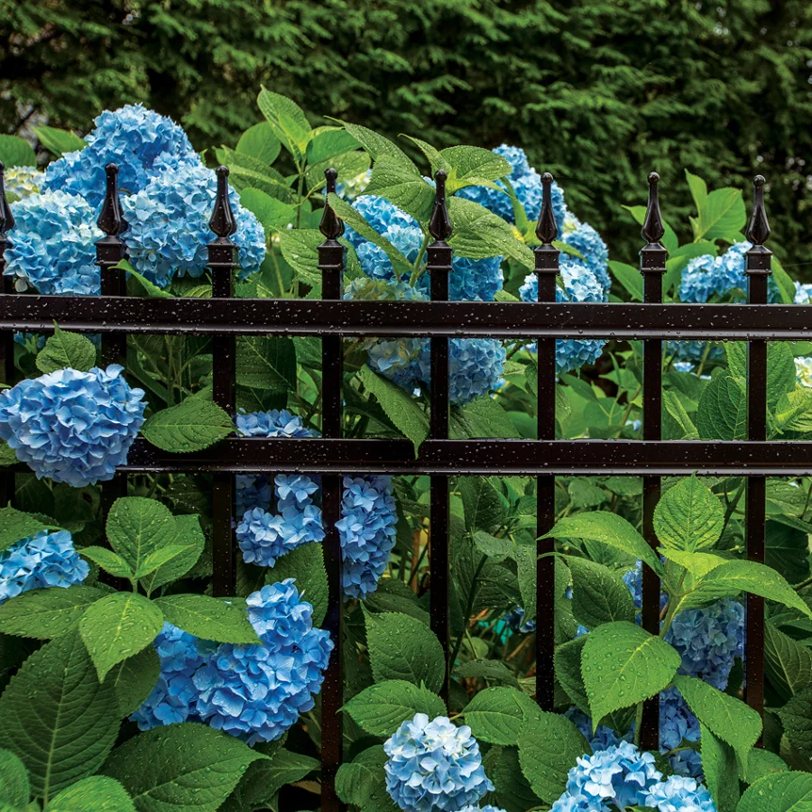 Residential Aluminum Fence