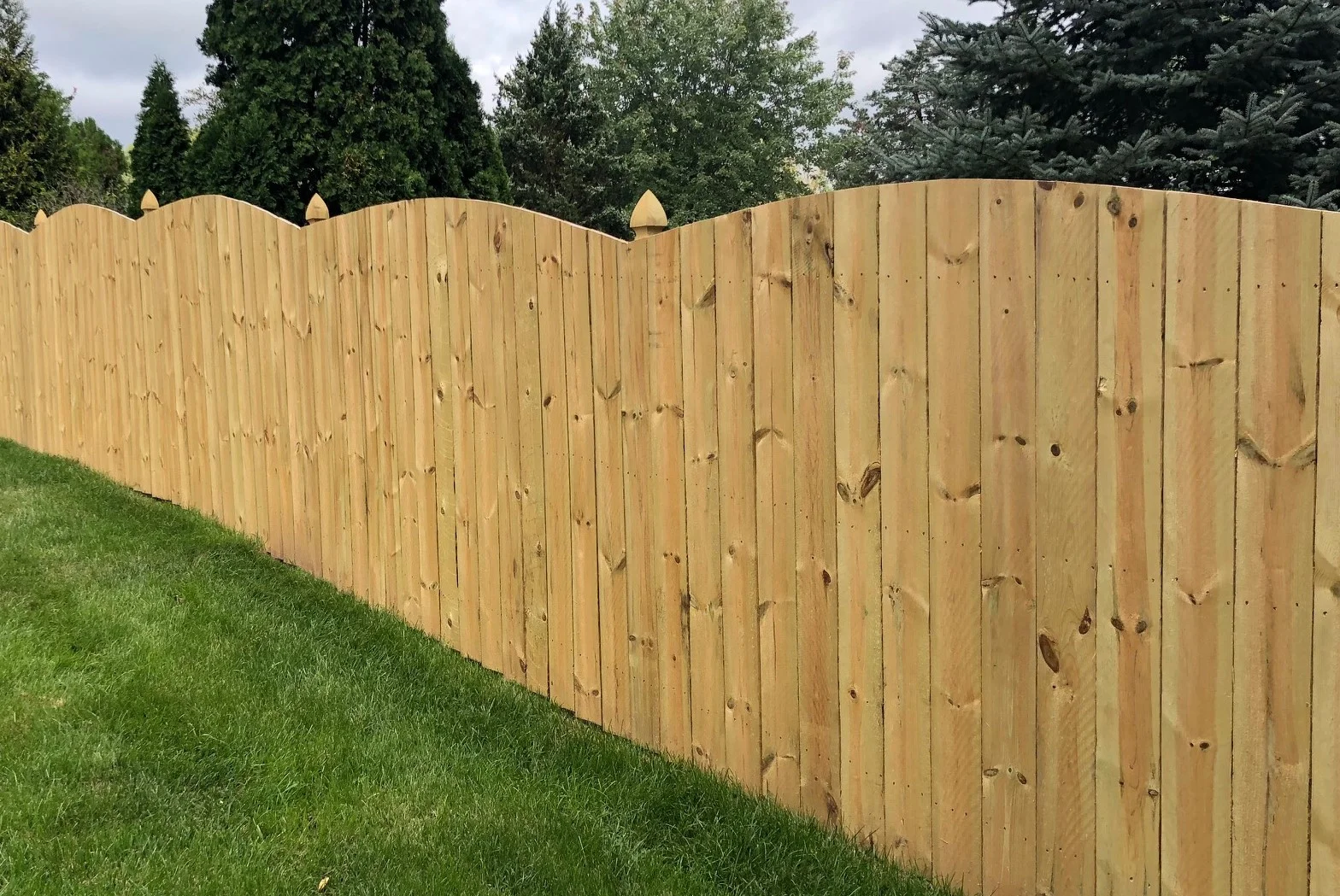 Wood Fence