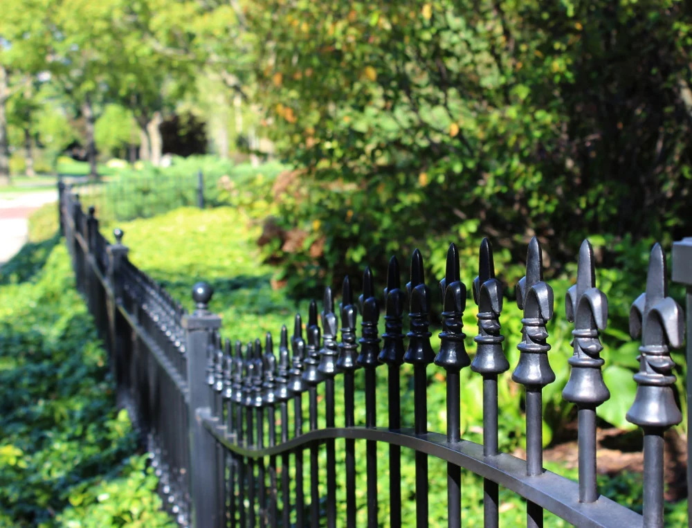 Wrought Iron Fence